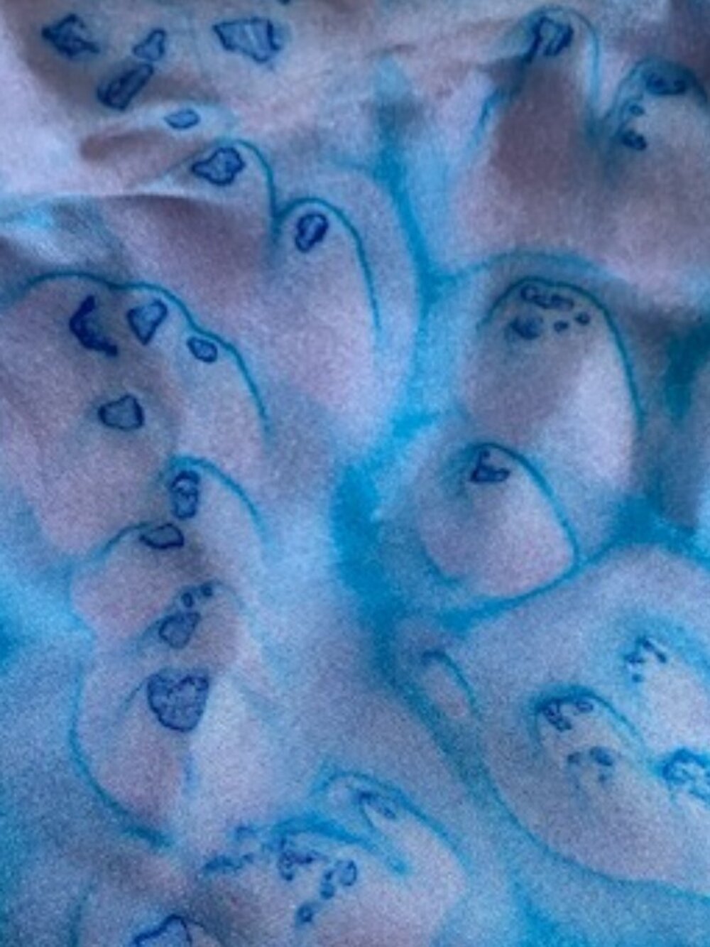 Hand painted silk scarf 45"L11"w signed, preowned jellyfish patterned preowned